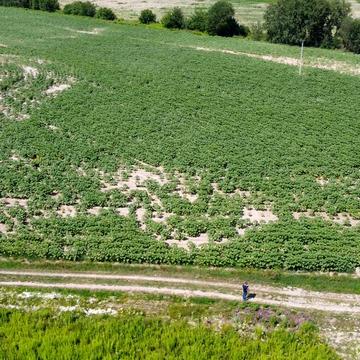 Бориспіль, Бориспільський, Київська область 70000.0 USD