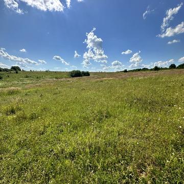 Лісові Гринівці, Хмельницький, Хмельницька область 11000.0 USD