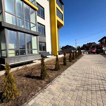 Дубовецький пров.