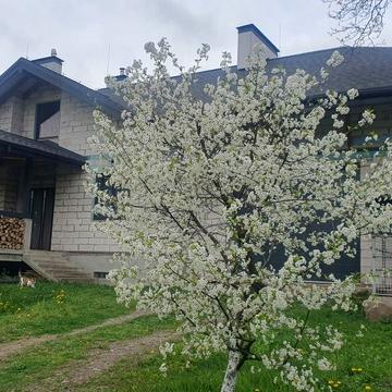 Львівська вул.