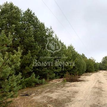 Дзвінкове, Фастівський, Київська область 1200000.0 USD