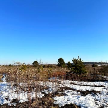 Жорниська, Яворівський, Львівська область 8000.0 USD