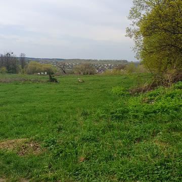 Миколи Аркаса, 2