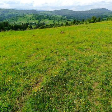 Волосянка, Стрийський, Львівська область 100000.0 USD