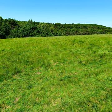 Ясниська, Яворівський, Львівська область 55000.0 USD