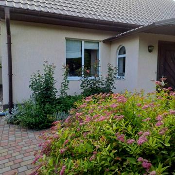 Центральна, 1