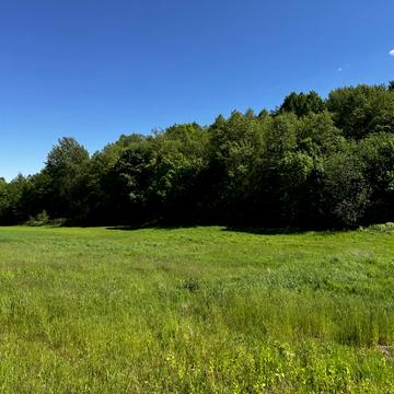 Лісопотік, Яворівський, Львівська область 34000.0 USD