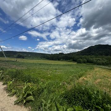 Рокитне, Яворівський, Львівська область 17000.0 USD