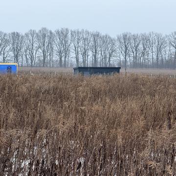 Прибережний