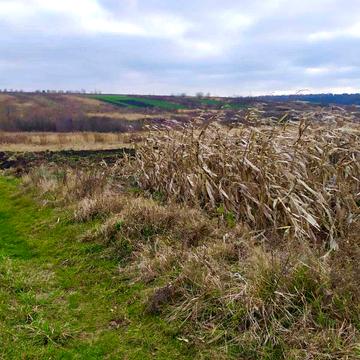 Зубра, Львівський, Львівська область 46000.0 USD