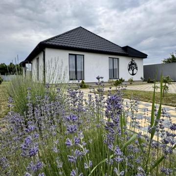 Богдана Хмельницького пл.