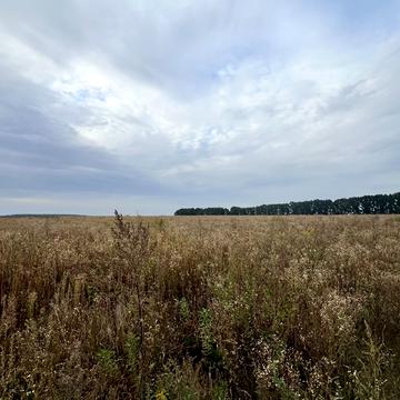 Бармаки, Рівненський, Рівненська область 30000.0 USD
