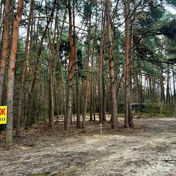 Університетська, 8