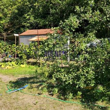 Світла вул.