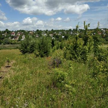 Парк ім. Т.Шевченка, Тернопіль, Тернопільська область 6500.0 USD