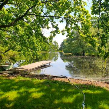 Козин, Обухівський, Київська область 2500000.0 USD