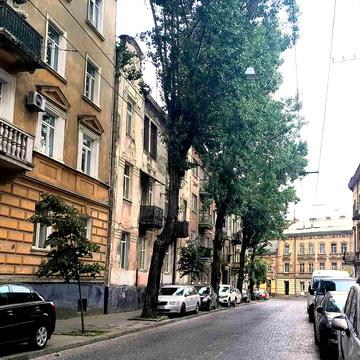 Шептицьких вул., 23