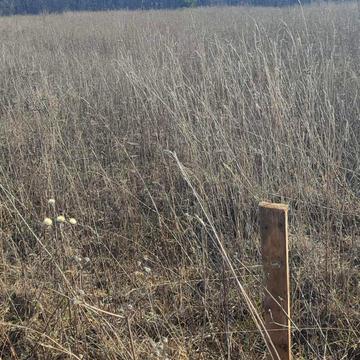 Вінниця, Вінницька область 18500.0 USD