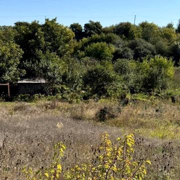 Мала Вільшанка, Білоцерківський, Київська область 4500.0 USD