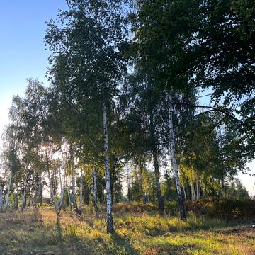 Підгірці, Обухівський, Київська область 53000.0 USD