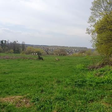 вул. Миколи Аркаса, 4