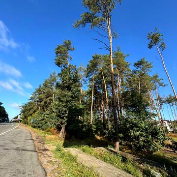 Гостомель, Бучанський, Київська область 450000.0 USD