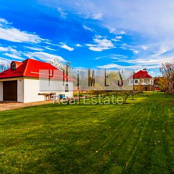 Центральна