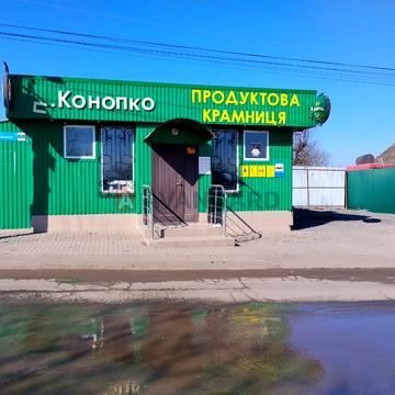 Василя Зеньковського вул., 68