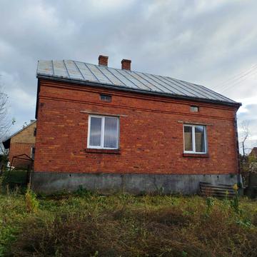 Левицького