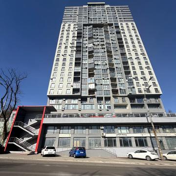 Володимира Брожка вул. (Кіровоградська), (Будинок 4)