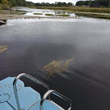 Дніпровська