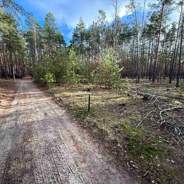 Лебедівка, Вишгородський, Київська область 21000.0 USD