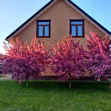 Коломичівська вул.