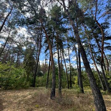 Єдності вул.