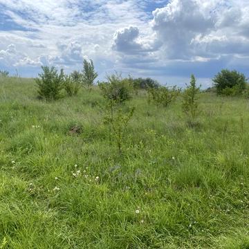 Буськ, Золочівський, Львівська область 8000.0 USD