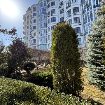 Андрія Гулого-Гуленка вул. (Віце-адмірала Азарова), 13