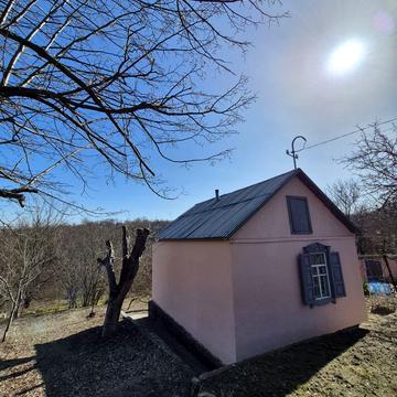 Центральна