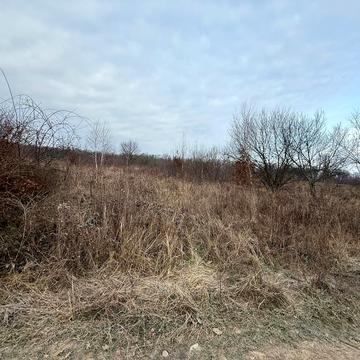 Циганівці, Ужгородський, Закарпатська область 15500.0 USD