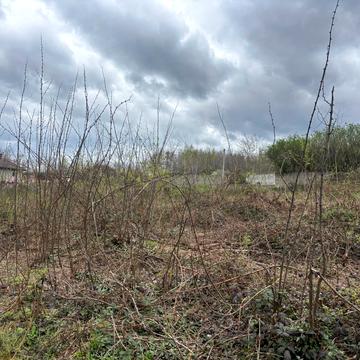 Оноківці, Ужгородський, Закарпатська область 16000.0 USD