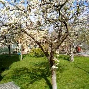 162-га Садова вул.