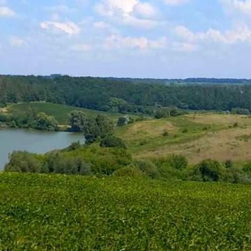 Жуківці, Обухівський, Київська область 200.0 USD