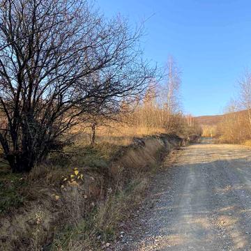 Гута, Ужгородський, Закарпатська область 8000.0 USD