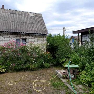 Центральна вул.