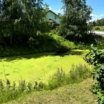 Ходосівка, Обухівський, Київська область 15000.0 USD