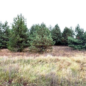 Ясна Поляна, Новгород-Сіверський, Чернігівська область 10.0 USD
