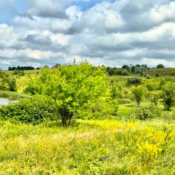 Кулібаба, Обухівський, Київська область 190.0 USD