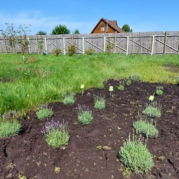 Бобриця, Бучанський, Київська область 8000.0 USD