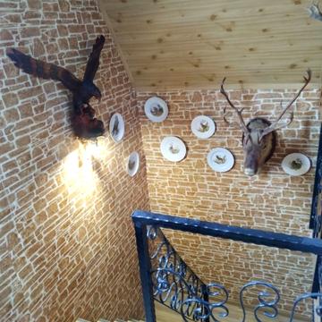 Стеценка вул.