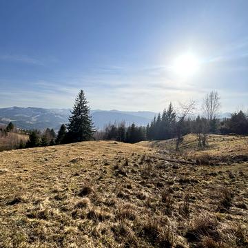 Верховина, Верховинський, Івано-Франківська область 65000.0 USD