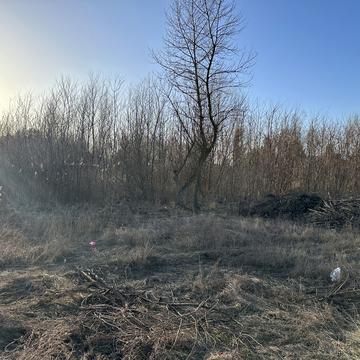 Березнева, 33